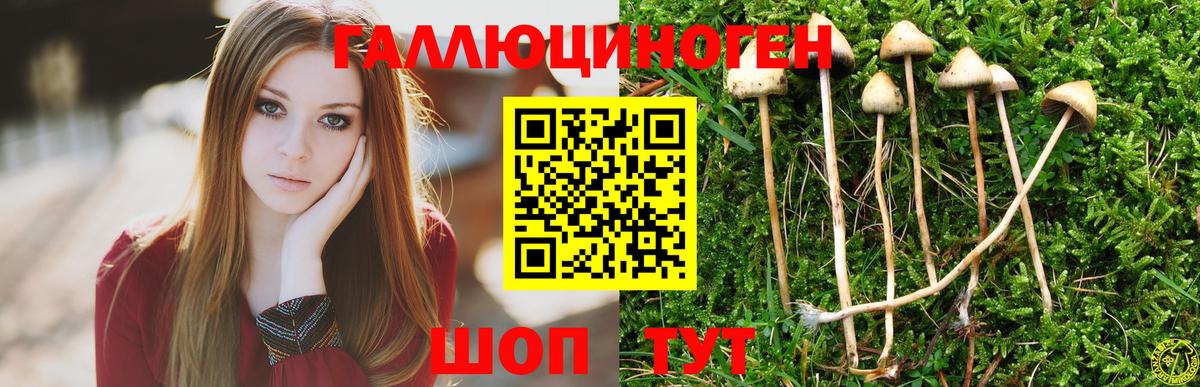 Псилоцибиновые грибы Cubensis  Псилоцибиновые грибы мицелий  Архангельск  где продают   Вход с VPN 